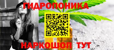 jwh Будённовск