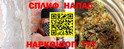 jwh Будённовск