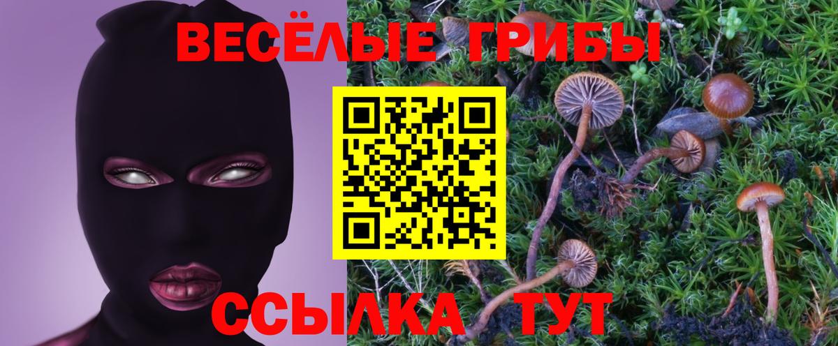 Орёл  Псилоцибиновые грибы GOLDEN TEACHER  Галлюциногенные грибы прущие грибы  Вход с VPN 